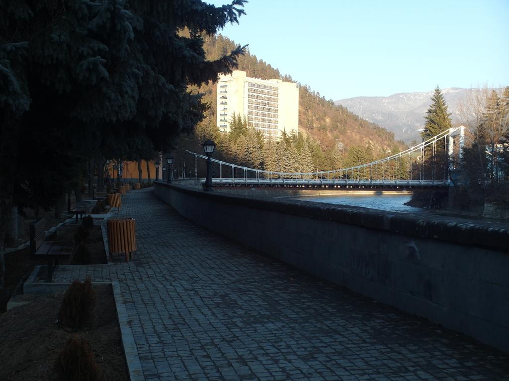 Villa Lazika Borjomi Rom bilde