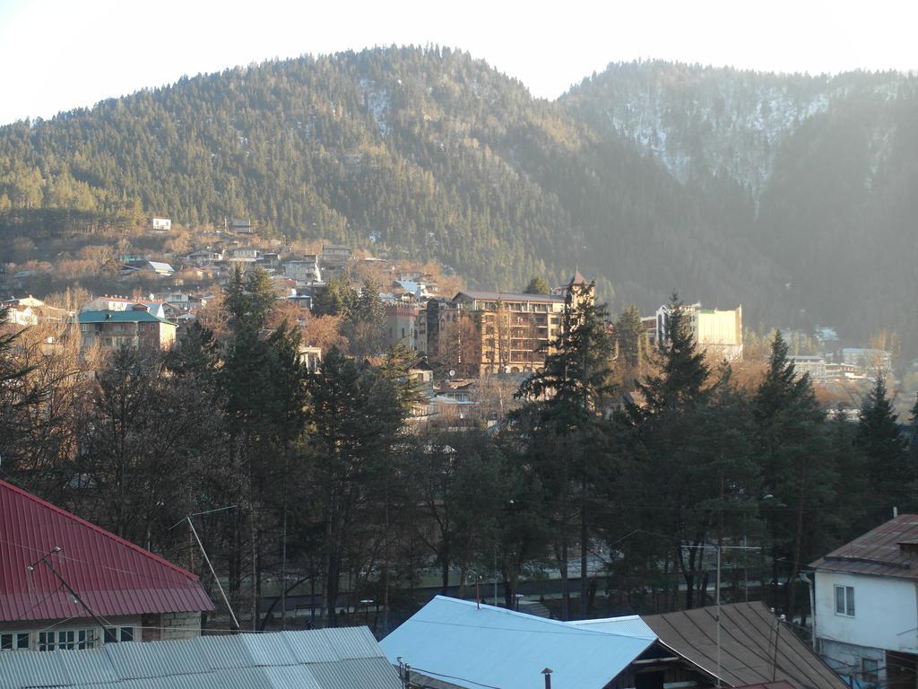 Villa Lazika Borjomi Rom bilde